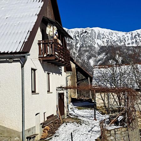 Hikers Hut Hisar Appartement Podbrdo Buitenkant foto